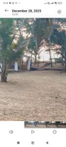 New Majestic Beach Resort,Breeze Haven