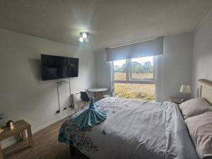 Apartamento en valdivia