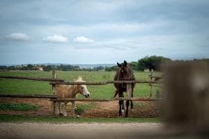 Agriturismo Sa Mandra img42