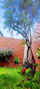 CyC Casa de huespedes