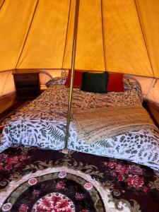 Retiro Bajoestrellas