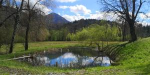 Chalet am Holzner-Hof