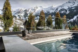 Chalet Anthocyane - OVO Network