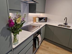 Central historic & stylish apartment with free parking