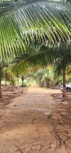 LBS Farmstay