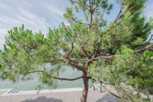 Lagoon View - 12 min to the Train Station