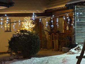 Agroturystyka Na Wypasie