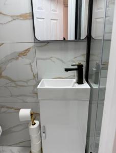 Central London 4BR Home with Parking and Garden