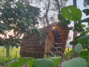 Pemsees Tree Town - Eco Treehouse Hostel