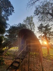 Pemsees Tree Town - Eco Treehouse Hostel