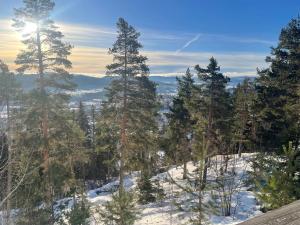 Ski-in, ski-out med milsvid utsikt och bastu