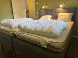 Ski-in, ski-out med milsvid utsikt och bastu