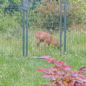 Villa Côte & Vigne - Cozy villa with swimming pool