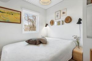 84282-Knebel-Fyrreklinten-28