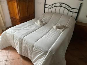 Casas rurales el Paraje del Molino