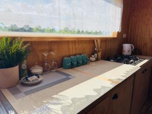 Cabaña rural rodeada de naturaleza y descanso cerca del Lago Ranco