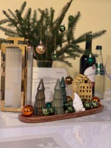 Apartament Salamandra Uno