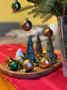 Apartament Salamandra Uno