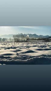 Apartament Chowańcówka z widokiem na góry typu studio obok stoków narciarskich i blisko basenów termalnych