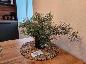 New apartament in city center