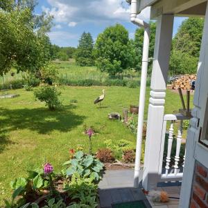 Ferienhaus Storchenwiese, Wald, Strand, Natur