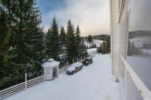 Freeman-1b - двоповерховий апартамент у котеджі з альтанкою та грилем - 2 плюс 3 поверх - 8місний