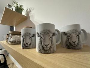 Merynos - dom w stylu alpejskim na wyłączność