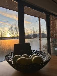 Merynos - dom w stylu alpejskim na wyłączność