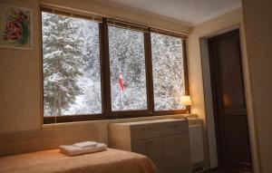 Hidden Forest Cottage