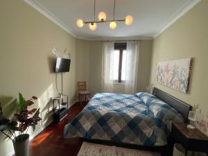 Apartment Viale Furio Camillo 5
