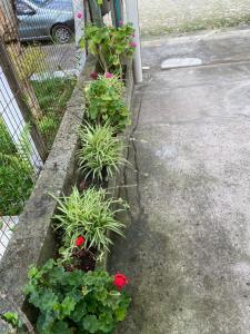 Refúgio Familiar Kingdom