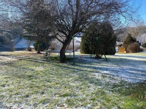 Gemütliche Wohnung mit Berg- und Waldblick