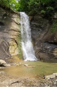 Gemütliche Wohnung mit Berg- und Waldblick