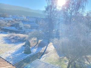 Gemütliche Wohnung mit Berg- und Waldblick