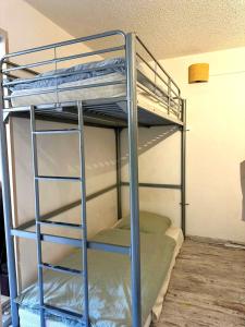 Face aux pistes - Le cocon dIsola 2000