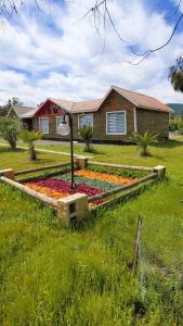 Casa Foresta in Zapallar