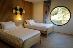 แคมป์ต๊ะต่อนยอน แม่กำปอง เชียงใหม่ CAMP Ta-Torn-Yorn Maekampong Chiang Mai