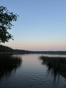 Alexandra Forest Lake House