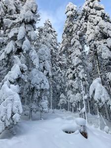 Ferme Marie-Charlotte