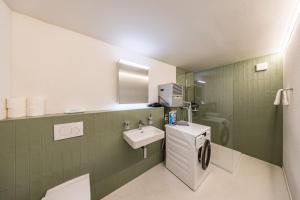 The R Apartment Roggen, new, Parking, washing machine