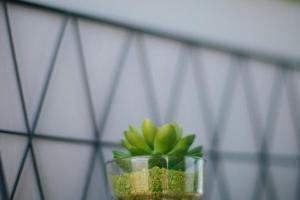 Apt - Sleeps 6 - Balcony - Parking