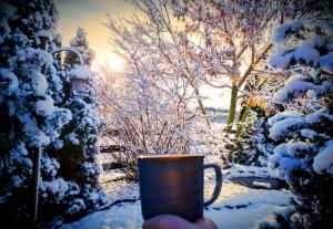 Agroturystyka u Lusi