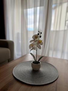 Golden Mountain Apartments