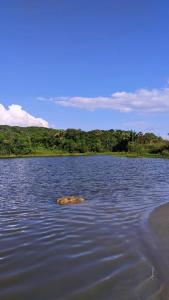 Obelisco hotel fazenda