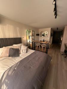 Warm Studio Ñuñoa - Metro Santiago L3 Equipped Connected