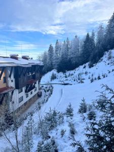 Grand Monastery apt Emo Pamporovo