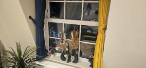 The Lanes Flat 1Bed 1Bath Roof Garden Sleeps 6