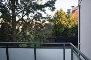 Apartments Rajska 77