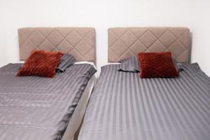 Stylish apartment - garden - great transport links and parking