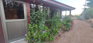 CABAÑA Willys country club Cauquenes